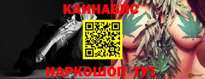 jwh Новозыбков