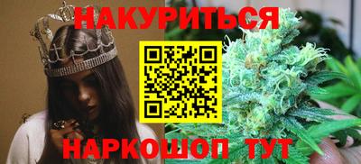 jwh Новозыбков