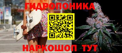 jwh Новозыбков
