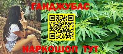 jwh Новозыбков