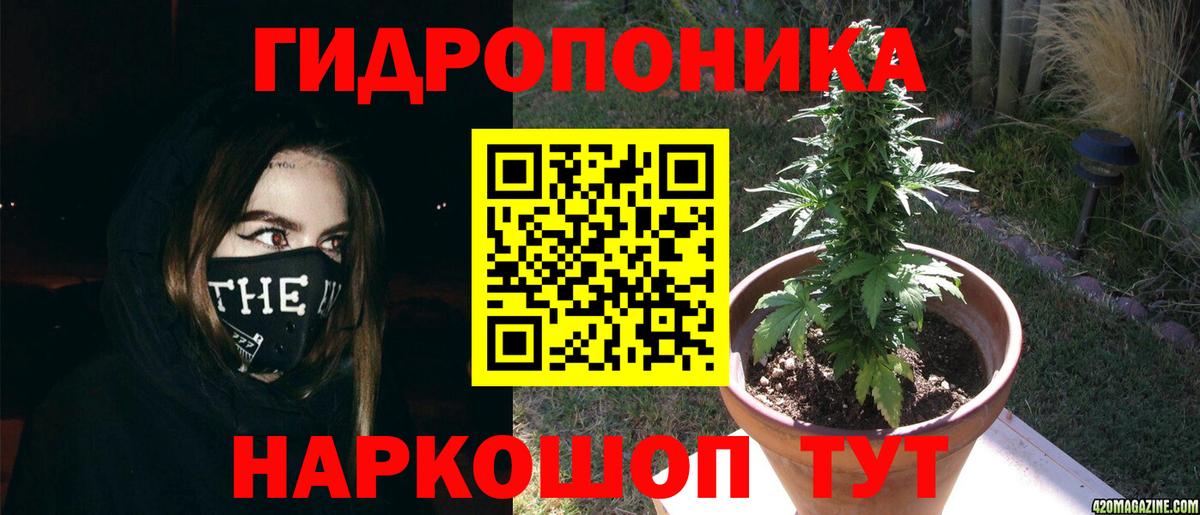Конопля план  Вход с VPN  МАРИХУАНА OG Kush  Каннабис сатива  Узловая  Бошки Шишки MAZAR 